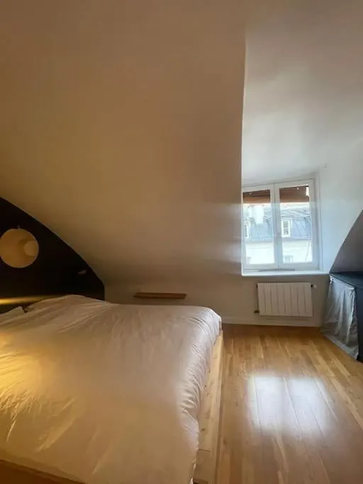Magnifique Appartement Paris 10Eme